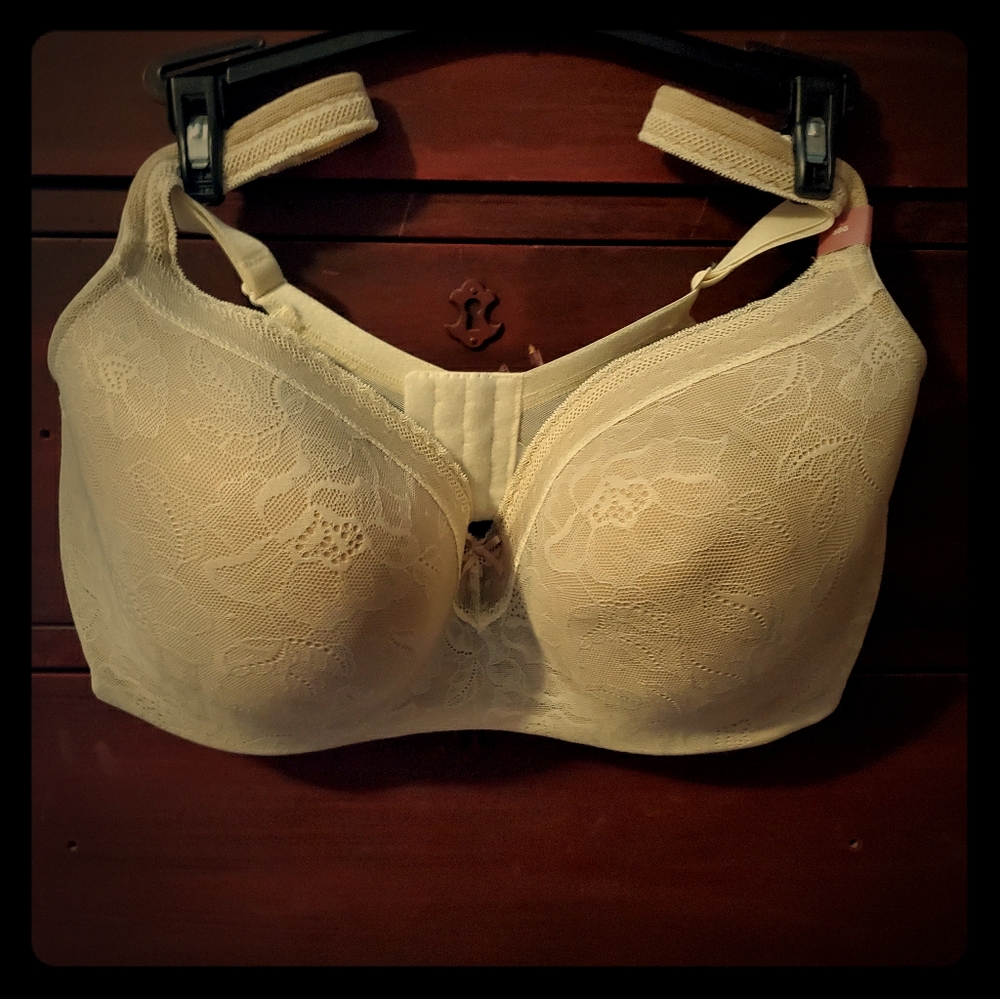 NWT CACIQUE BRA